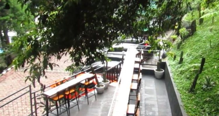 Bukit Nurmala Cafe Bogor: Tempat Nongkrong Hits dengan View Pinus dan Spot Instagramable