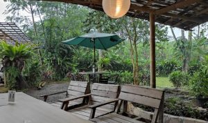 Review Resto Serai Love Story Sentul Terbaru – Tempat Makan Bernuansa Alam dengan Menu Khas Sunda yang Menggugah Selera