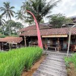 Tempat Nongkrong View Sawah di Bogor