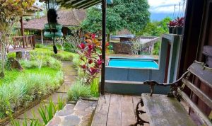 Rumah Jawa Antik, Rekomendasi Villa Murah di Bogor Nuansa Rumah Joglo Tradisional Cuman 800 ribuan