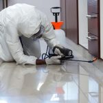 Tips Memilih Jasa Anti Rayap di Bogor Terpercaya dan Jujur