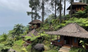 Caimandala Camp Puncak Bogor, Wisata Air Terjun Tersembunyi dengan Camping Ground dan Resort Murah
