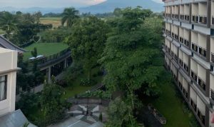 Review The Greenpeak Hotel Puncak Bogor, Hotel Keluarga dengan View Gunung dan Kolam Renang Luas