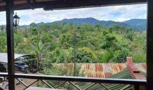 Villa Jepang di Puncak Bogor untuk Rombongan Besar, Review Lengkap Villa ala Jepang Kapasitas 50–60 Orang
