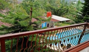 Villa Orange Noa Puncak Bogor, Pilihan Villa Murah Kapasitas Besar dengan Kolam Renang Private