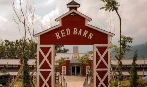 Red Barn Bogor, Wisata Restoran Desa Belanda Bergaya Eropa di Sukamakmur dengan Pemandangan Perbukitan