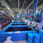 Review Toko Akuarium Terbesar di Bogor Menjual Ikan Hias dan Hewan Peliharaan Harga Murah