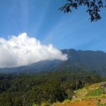 Review Ekowisata Alam Jembatan Gantung di Eiger Nature Bogor