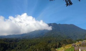 Review Ekowisata Alam Jembatan Gantung di Eiger Nature Bogor
