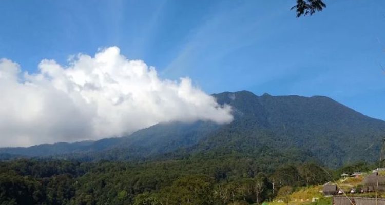 Review Ekowisata Alam Jembatan Gantung di Eiger Nature Bogor