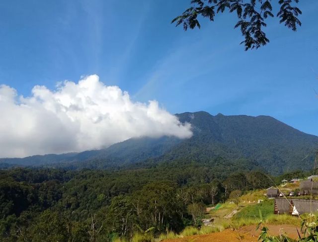 Review Ekowisata Alam Jembatan Gantung di Eiger Nature Bogor
