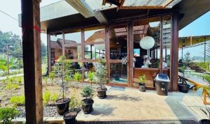 Taniman Arkive Cafe Gang Kelor Bogor, Tempat Ngopi di Balkon View Sunset
