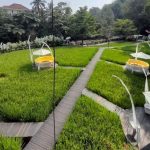 Tubing Valley Cheese and Farm Bogor, Wisata Edukasi Farm dengan Pemandangan Sungai dan Nuansa Eropa
