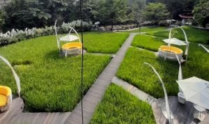 Tubing Valley Cheese and Farm Bogor, Wisata Edukasi Farm dengan Pemandangan Sungai dan Nuansa Eropa