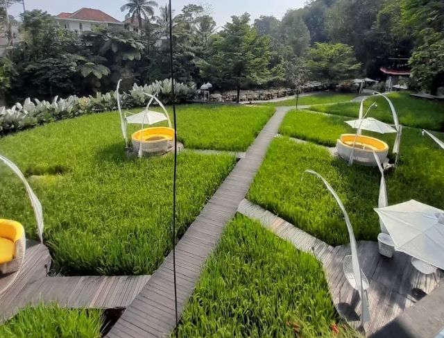 Tubing Valley Cheese and Farm Bogor, Wisata Edukasi Farm dengan Pemandangan Sungai dan Nuansa Eropa