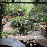 Bukit Air Forest Bogor, Tempat Makan Bernuansa Hutan dengan Area Outdoor dan Perkebunan