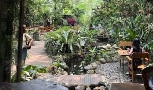 Bukit Air Forest Bogor, Tempat Makan Bernuansa Hutan dengan Area Outdoor dan Perkebunan
