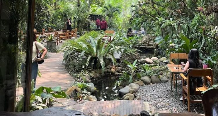 Bukit Air Forest Bogor, Tempat Makan Bernuansa Hutan dengan Area Outdoor dan Perkebunan