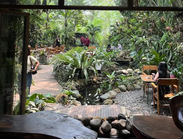Bukit Air Forest Bogor, Tempat Makan Bernuansa Hutan dengan Area Outdoor dan Perkebunan