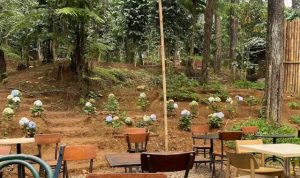 Menikmati Kuliner Malam Dengan Suasana Alam di Pasar Mistis Puncak Bogor