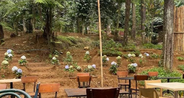 Menikmati Kuliner Malam Dengan Suasana Alam di Pasar Mistis Puncak Bogor