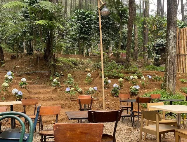 Menikmati Kuliner Malam Dengan Suasana Alam di Pasar Mistis Puncak Bogor