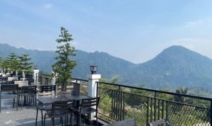 Pinus Caffe dan Resto Sentul, Tempat Makan di Bogor view Hutan Pinus dan Kabut