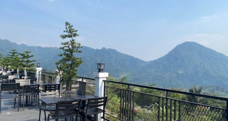Pinus Caffe dan Resto Sentul, Tempat Makan di Bogor view Hutan Pinus dan Kabut