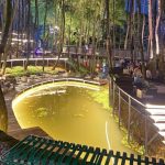Review Tempat Ngopi Estetik Suasana Hutan, Warisan Kopi Sentul Bogor