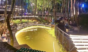 Review Tempat Ngopi Estetik Suasana Hutan, Warisan Kopi Sentul Bogor