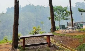 Tempat Nongkrong View Lembah, Rona Cafe and Camp Wisata Puncak Bogor