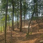Camping Sambil Ngopi View Curug Bidadari Sentul, Warisan Jati X Lembah Ki Sunda Bogor