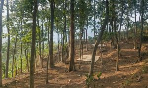 Camping Sambil Ngopi View Curug Bidadari Sentul, Warisan Jati X Lembah Ki Sunda Bogor
