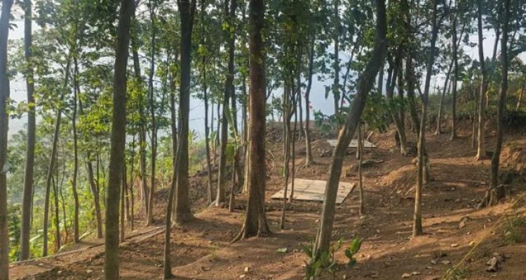 Camping Sambil Ngopi View Curug Bidadari Sentul, Warisan Jati X Lembah Ki Sunda Bogor