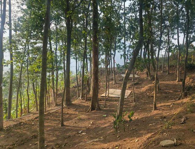 Camping Sambil Ngopi View Curug Bidadari Sentul, Warisan Jati X Lembah Ki Sunda Bogor