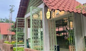Review Nakotiam Kuntum Bogor, Tempat Ngopi di Hutan Pinus